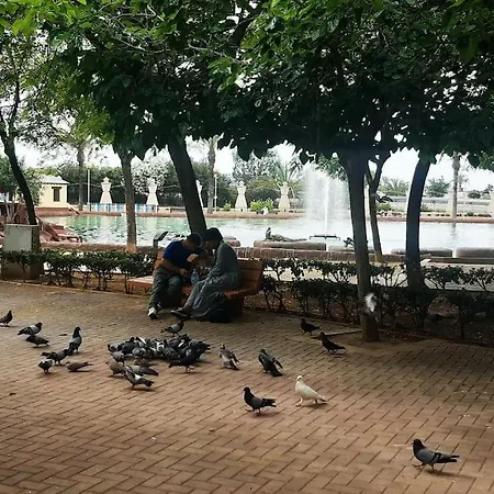 Adventure Harbour Apartman *