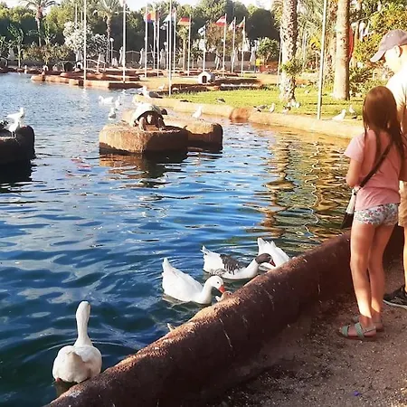 Adventure Harbour Apartman *